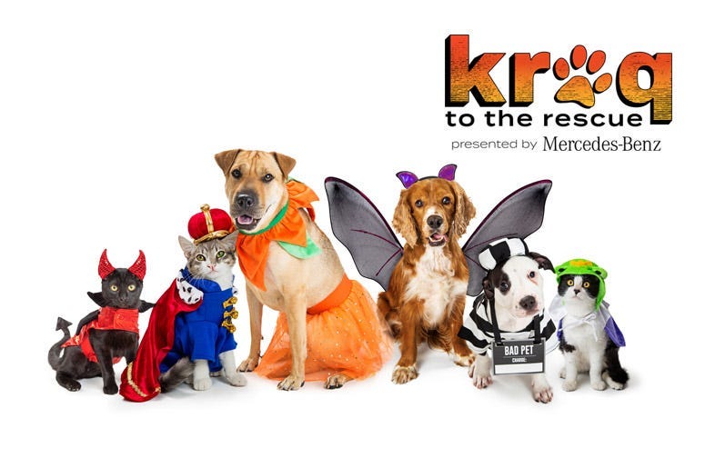 Pets in Costume