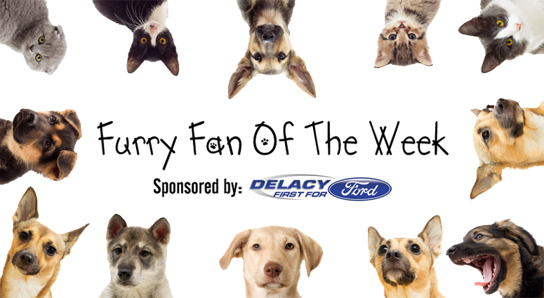 Furry Friend of the Week